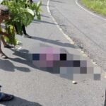 Satu Warga Tapaktuan Meninggal Dunia Akibat Kecelakaan Tunggal di Gunung Kapur Trumon