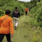 Basarnas Lakukan Pencarian Terhadap Satu Orang Hilang di Hutan Karet, Aceh Barat