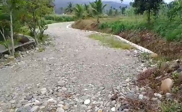 Proyek Peningkatan Jalan Pertanian Pokir DPRK Agara Darul Hasanah Diduga Tidak Sesuai Spesifikasi