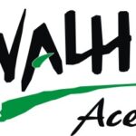 WALHI Aceh Minta APH Tindak Tegas Pelaku Perambah Hutan di Jambur Latong, Agara