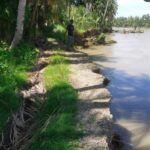 Abrasi Sungai di Gampong Pulo Ie Semakin Parah