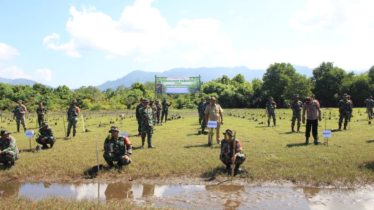 Jaga Kelestarian Bibir Pantai Kodim 0107/Aceh Selatan Tanam 1.500 Mangrove di Pantai Pasi Rasian Pasi Raja