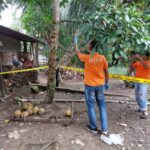 Seorang Pria Di Aceh Selatan Ditemukan Meninggal Gantung Diri di Pohon Mangga