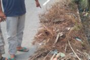 PPK 35 BPJN III Aceh Dinilai Tidak Serius Melaksanakan Pekerjaan Perawatan Saluran Drainase Pada Jalan Nasional Kutacane -Medan Agara