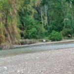 Erosi Kian Parah, Krueng (Sungai) Kecamatan Samadua Gampong Air Sialang Hilir Perlu Pembangunan Batu Gajah