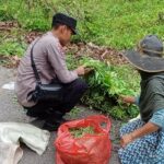 Aksi Sosial, Bhabinkamtibmas Polsek Tapaktuan Bagikan Sayuran Gratis Kepada Warga Binaan.