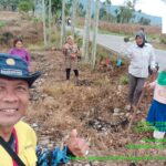 Kepala BPP Kecamatan Bambel Agara Giat Turun Ke lokasi Pertanian Warga