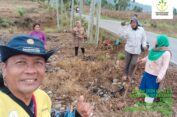 Kepala BPP Kecamatan Bambel Agara Giat Turun Ke lokasi Pertanian Warga