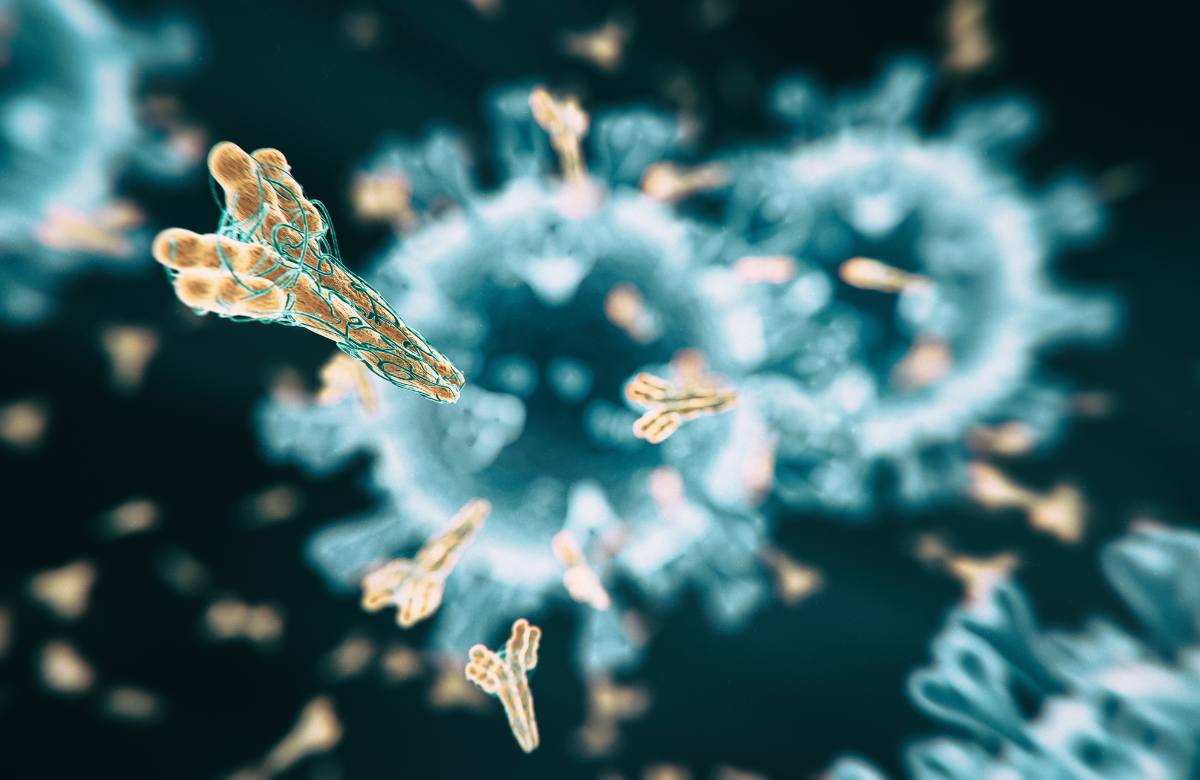 Pengertian dan Jenis Antibodi, Hingga Manfaatnya bagi Kesehatan