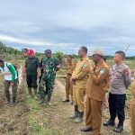 Pj Bupati Aceh Selatan Kunjungi  Lahan Pertanian Milik Pemerintah Kabupaten Aceh Selatan Di Gampong Baro Kecamatan Pasie Raja
