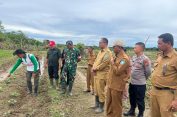 Pj Bupati Aceh Selatan Kunjungi  Lahan Pertanian Milik Pemerintah Kabupaten Aceh Selatan Di Gampong Baro Kecamatan Pasie Raja