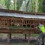 Babinsa Koramil 0118-04/Sultan Daulat Dorong Potensi Peternakan Kambing di Desa Lae Simolap Melalui Komsos