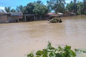 Banjir Setinggi 2 Meter Lumpuhkan Jalan Nasional Tapaktuan – Medan