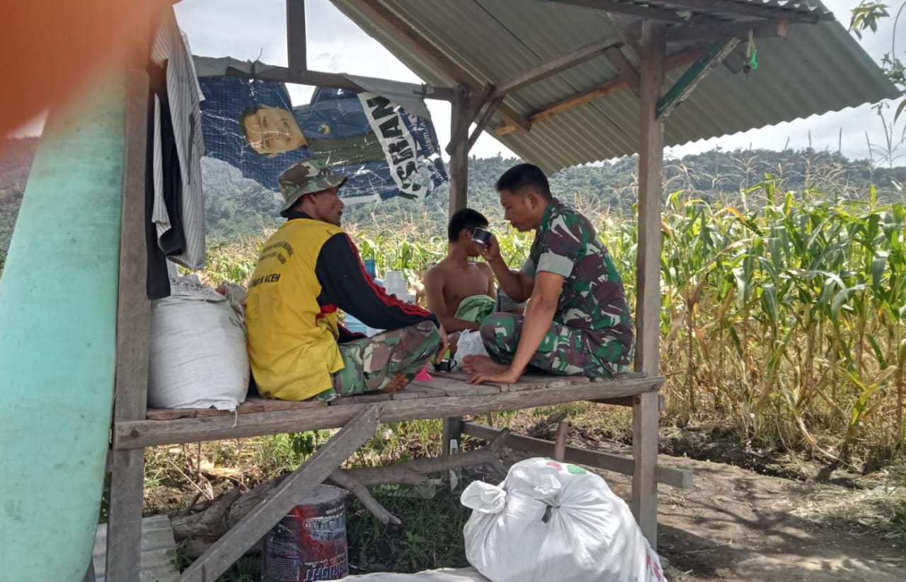 Babinsa Koramil 13/Kluet Timur Dampingi Petani Jagung, Upaya Tingkatkan Produktivitas Pertanian di Wilayah Desa Binaan