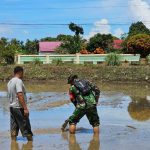 Optimalisasi Pengolahan Lahan Sawah di Kluet Timur, Babinsa Sertu Zainal Amri Dampingi Petani