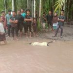 Sesosok Mayat Wanita ditemukan Terdampar Di Sungai Jabi Jabi Sultan Daulat Kota Subulussalam