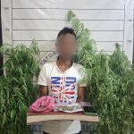 Sat Resnarkoba Polres Aceh Selatan Musnahkan Ladang Ganja dan amankan seorang terduga Pelaku.