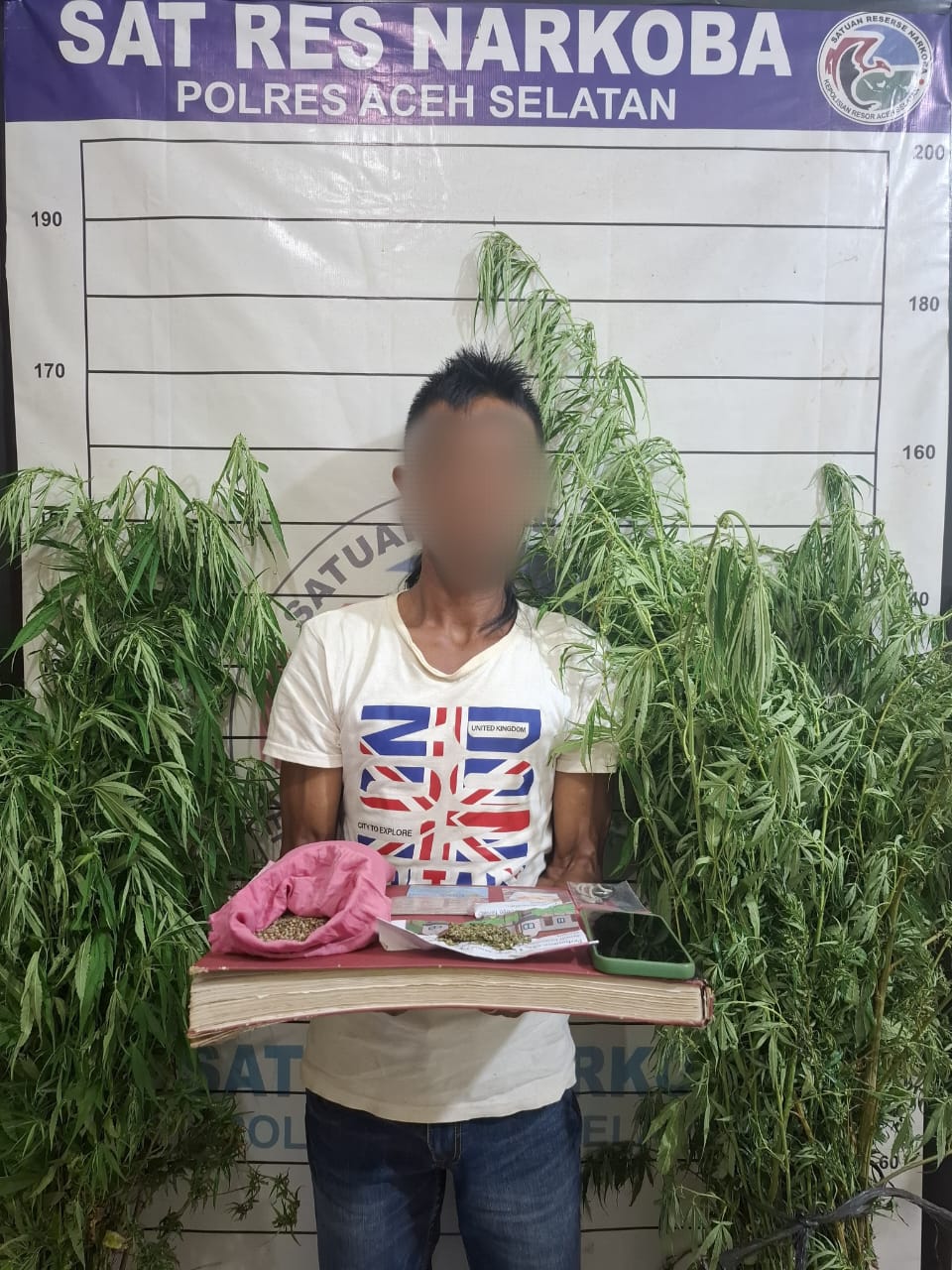 Sat Resnarkoba Polres Aceh Selatan Musnahkan Ladang Ganja dan amankan seorang terduga Pelaku.