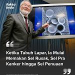 Apa Yang Terjadi Ketika Tubuh Kita Mulai Lapar ?