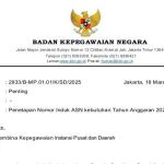 BKN Terbikan Surat Penetapan NIP CPNS dan PPPK 2024 Dimulai