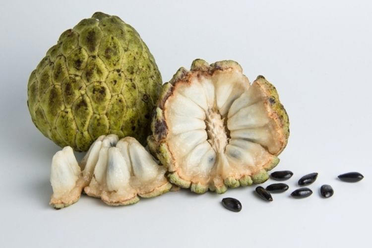 Manfaat Konsumsi Buah Srikaya Bisa Meredakan Penyakit Apa ? Ini 6 Daftarnya