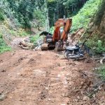 Perambahan Hutan Besar-Besaran Terjadi di Kecamatan Kluet Tengah Aceh Selatan,  APH di Minta Bertindak
