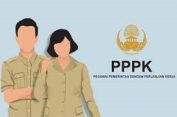 Cara Cek Lokasi dan Jadwal Tes PPPK 2024 Tahap 2, Cetak Kartu Jangan Lupa