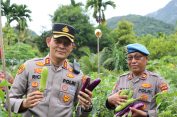 Kapolres Aceh Selatan Cek Langsung Lahan Ketahanan Pangan P2B di Ladang Teungoh