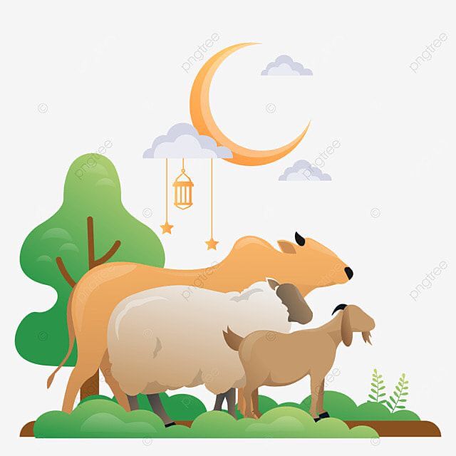 Qurban Bukan Pamer, Tapi Latihan Menundukkan Ego