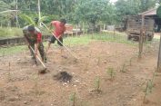 ‎Babinsa Kodim 0107/Aceh Selatan Dorong Warga Manfaatkan Lahan Kosong Jadi Lahan Produktif