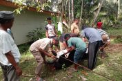 Masyarakat Gampong Ladang Kecamatan Samatiga Aceh Barat Laksanakan Penyembelihan Hewan Qurban Bantuan dari PT Mifa
