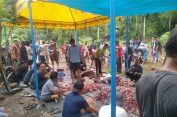 Masyarakat Dusun Ujung Pasir Gampong Lhok Bengkuang Timur Laksanakan Penyembelihan Hewan Qurban pada Perayaan Idul Adha 1446 H / 2025 M