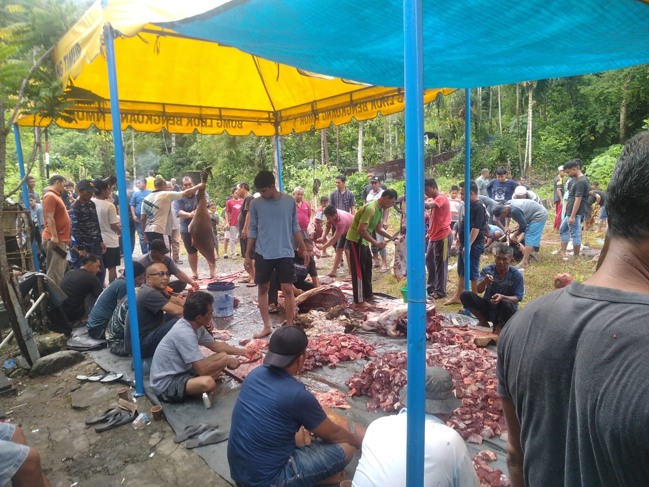 Masyarakat Dusun Ujung Pasir Gampong Lhok Bengkuang Timur Laksanakan Penyembelihan Hewan Qurban pada Perayaan Idul Adha 1446 H / 2025 M
