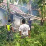 Respons Cepat Babinsa, Pohon Tumbang di Kantor Keuchik Pucok Kreung Berhasil Dievakuasi