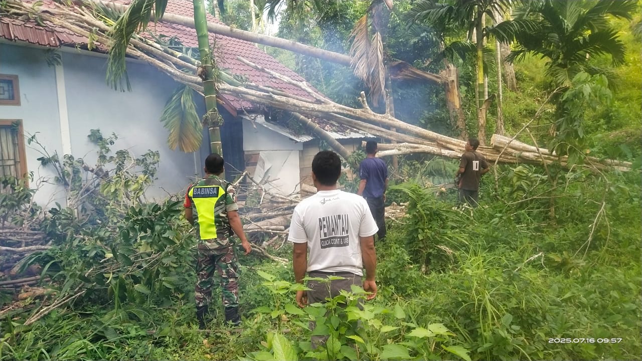 Respons Cepat Babinsa, Pohon Tumbang di Kantor Keuchik Pucok Kreung Berhasil Dievakuasi