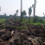 Garap Lahan Tanpa Izin HGU, APH Hingga Satgas Garuda Diminta Tertibkan Aktivitas PT ALIS