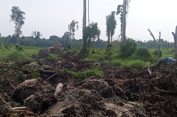 Garap Lahan Tanpa Izin HGU, APH Hingga Satgas Garuda Diminta Tertibkan Aktivitas PT ALIS