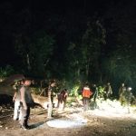 Sinergitas TNI – Polri BPBD dan Masyarakat Evakuasi Pohon Tumbang di Tapaktuan