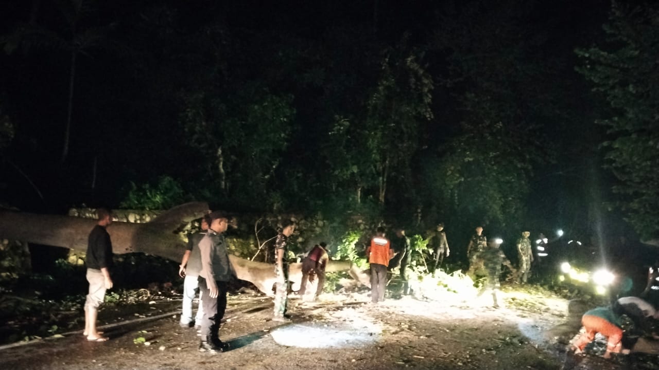 Sinergitas TNI – Polri BPBD dan Masyarakat Evakuasi Pohon Tumbang di Tapaktuan