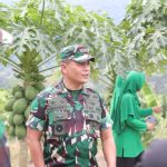 Kunjungi Kluet Tengah, Danrem 012 Puji Program Pertanian di lahan Kompi Produksi Kodim 0107/Asel