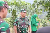 Kunjungi Kluet Tengah, Danrem 012 Puji Program Pertanian di lahan Kompi Produksi Kodim 0107/Asel