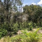 Pemerintah Bakal Ambil Alih Lahan Bersertifikat yang Terlantar Selama Dua Tahun