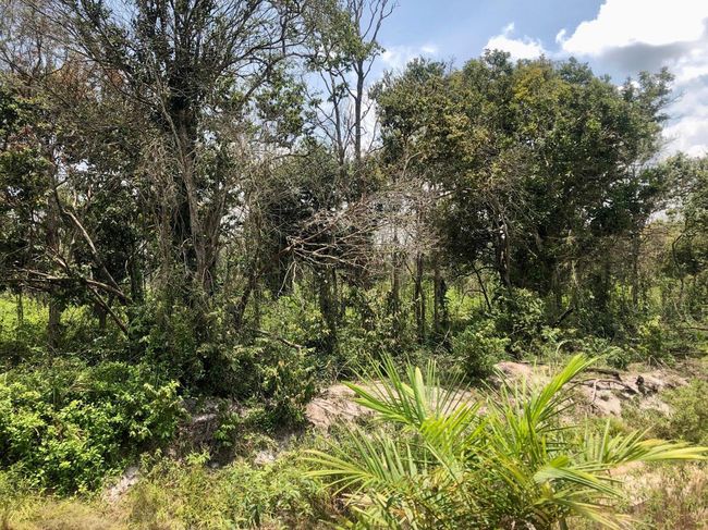 Pemerintah Bakal Ambil Alih Lahan Bersertifikat yang Terlantar Selama Dua Tahun