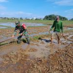 Wujudkan Kemandirian Pangan, Babinsa Koramil 02/Labuhanhaji Turun langsumv lakukan Pendampingan dan Bantu Petani olah lahan
