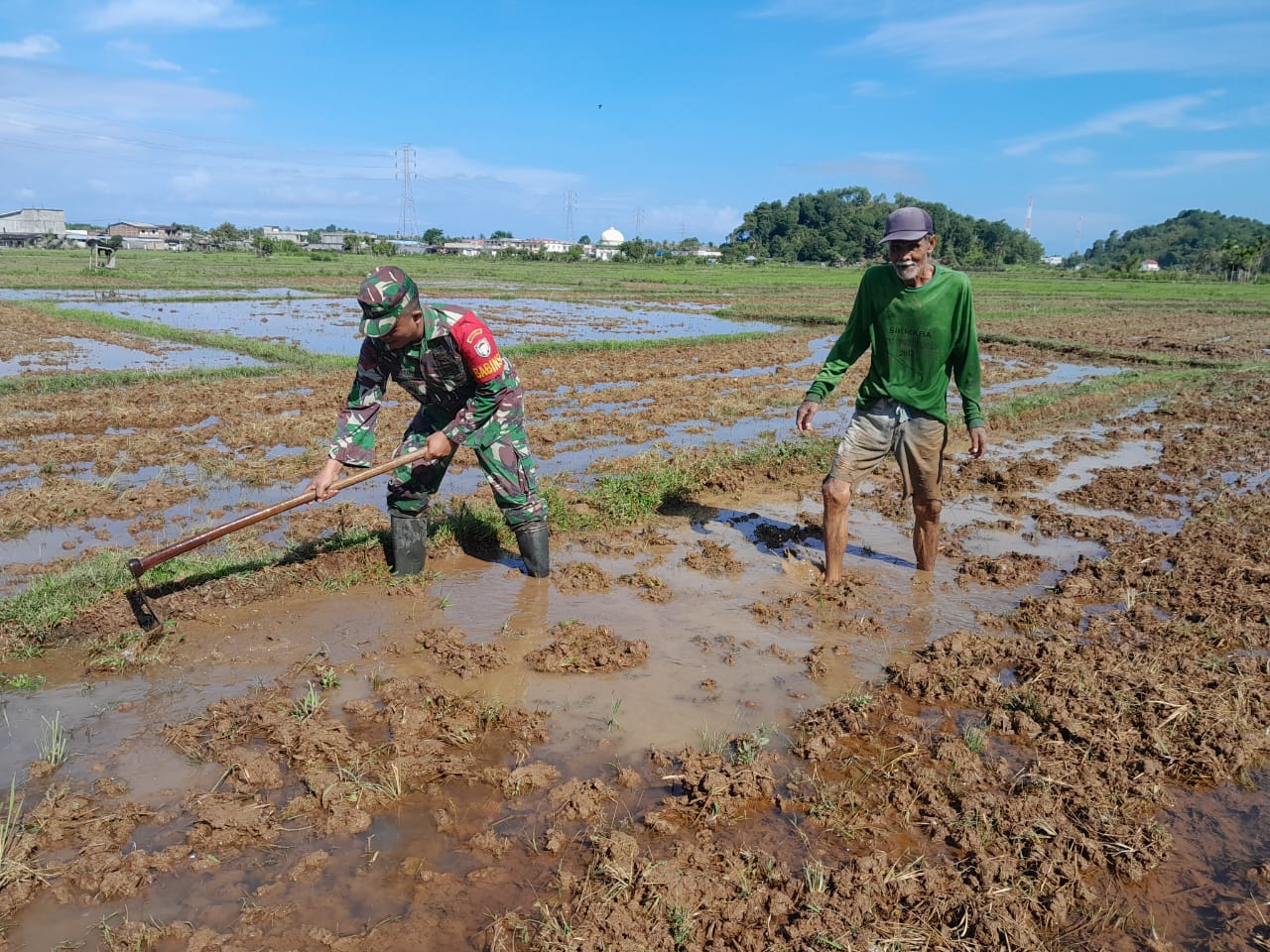 Wujudkan Kemandirian Pangan, Babinsa Koramil 02/Labuhanhaji Turun langsumv lakukan Pendampingan dan Bantu Petani olah lahan