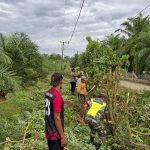 ‎Gerakan Aksi Gotong Royong di Desa Ujung Tanoh Kota Bahagia Sambut HUT ke-80 Republik Indonesia