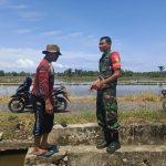 Babinsa 10/Labar Hadir di Tengah Petani, Bahas Kendala dan Solusi Pertanian