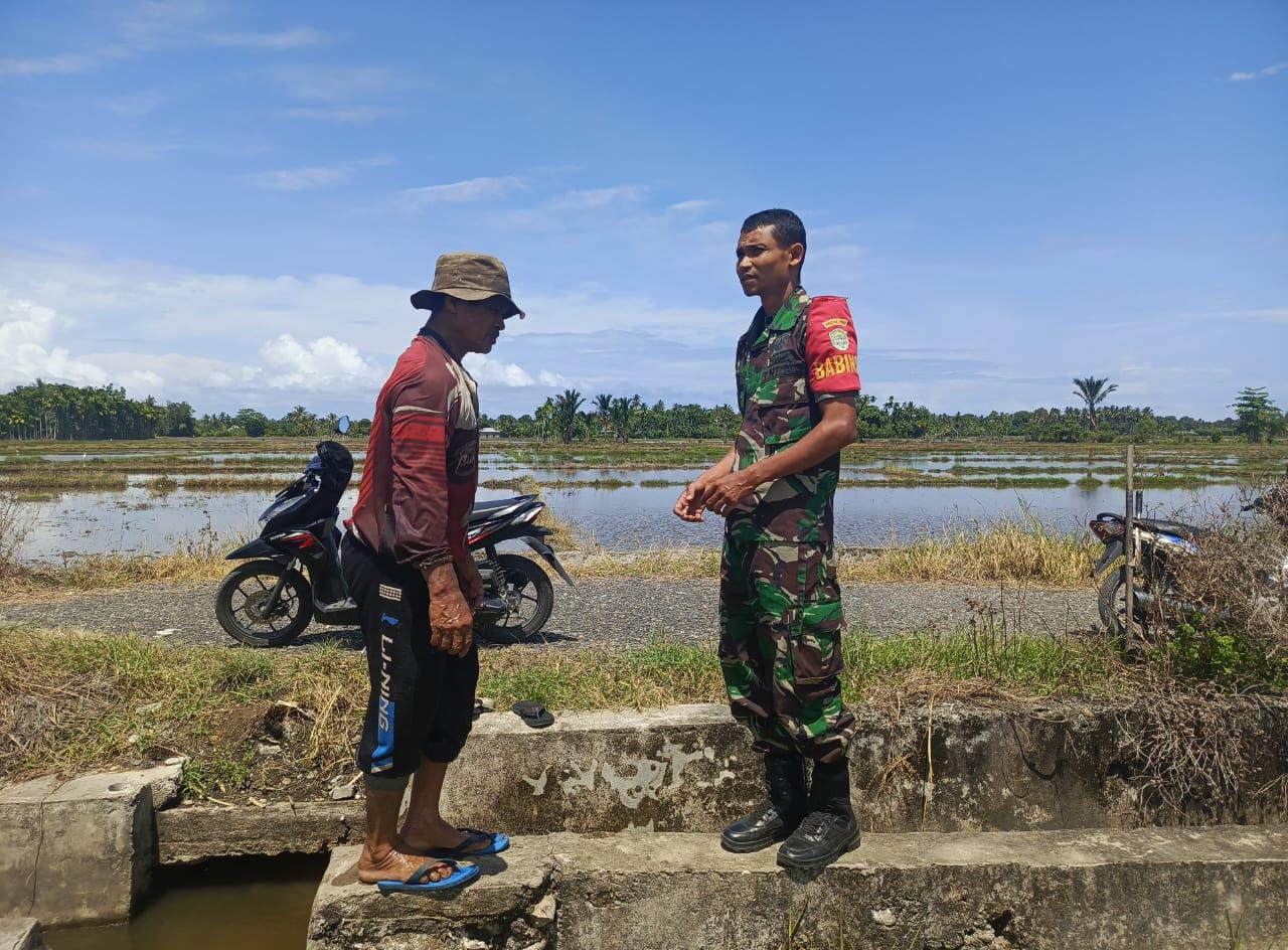 Babinsa 10/Labar Hadir di Tengah Petani, Bahas Kendala dan Solusi Pertanian