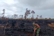 ‎Patroli Berlapis Satgas Karhutla Aceh Selatan Pastikan Api di Bakongan Benar-Benar Padam