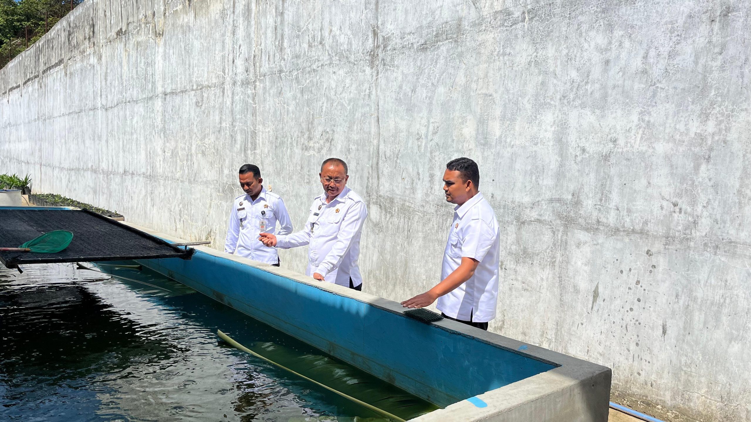 Kalapas Lakukan Kontrol Ketahanan Pangan di Area Brandgang Lapas Idi